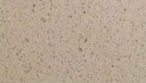 Sandstone — actual material sample
