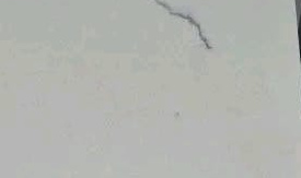 Carrara Mist — actual material sample