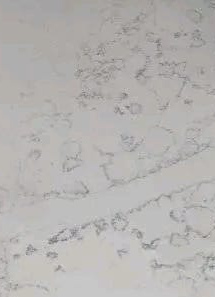Calacatta Aura — actual material sample