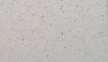 Fine Shimmer — actual material sample