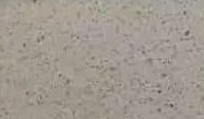 Beach — actual material sample