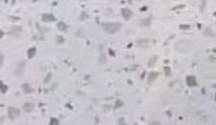 Macadamia — actual material sample