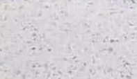 Sparkle — actual material sample